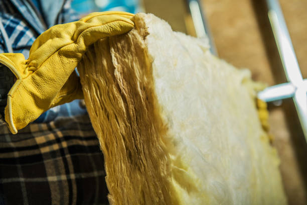 Best Cellulose Insulation in Port St Lucie, FL